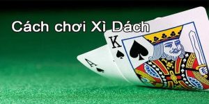 cách đánh xì dách