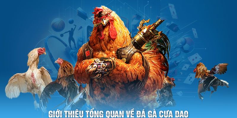 Tổng quan chung về phiên bản giải trí đá gà cựa dao