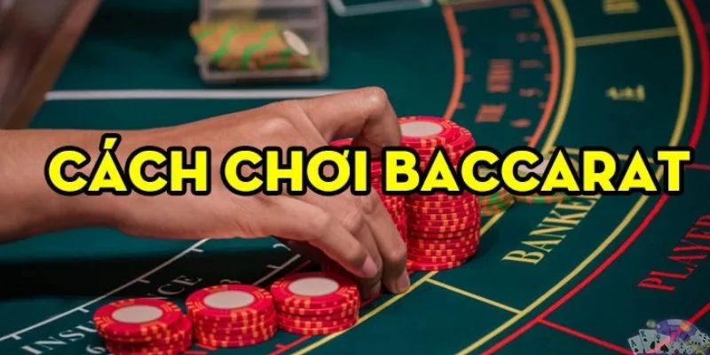 Những chiến lược áp dụng khi đánh Baccarat 